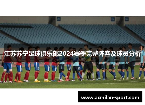 江苏苏宁足球俱乐部2024赛季完整阵容及球员分析